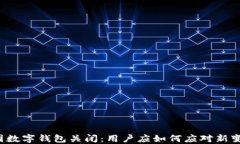 美团数字钱包关闭：用户应如何应对新变化？