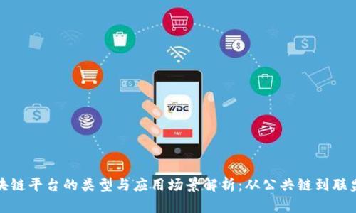 区块链平台的类型与应用场景解析：从公共链到联盟链