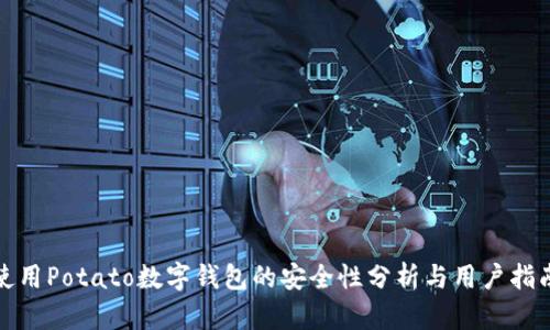 使用Potato数字钱包的安全性分析与用户指南