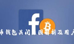 数字人民币钱包关闭原因解析及用户应对策略