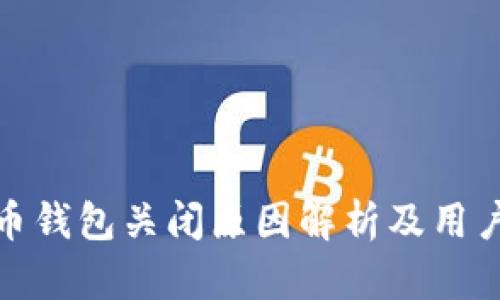 数字人民币钱包关闭原因解析及用户应对策略