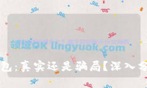 区块链电子钱包：真实还是骗局？深入分析与使用指南