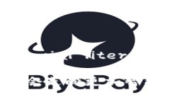 数字钱包和区块链这两个概念在现代金