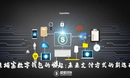 柬埔寨数字钱包的崛起：未来支付方式的新选择