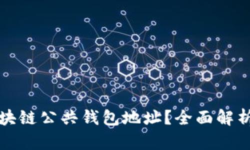 如何找到区块链公共钱包地址？全面解析与实用指南