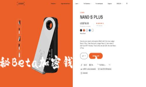 ### 揭秘Beta加密钱包：未来金融的安全之路