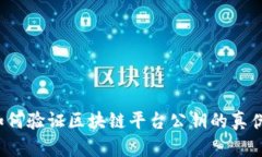 如何验证区块链平台公钥的真伪？