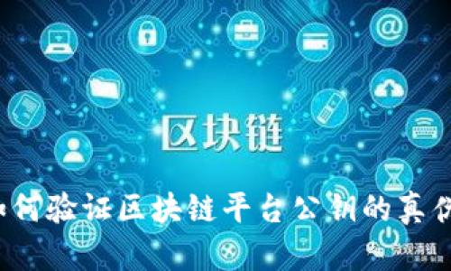 如何验证区块链平台公钥的真伪？