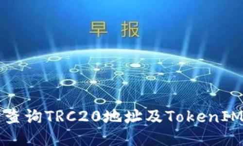 如何快速查询TRC20地址及TokenIM使用指南