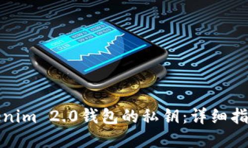 如何找回Tokenim 2.0钱包的私钥：详细指导与解决方案