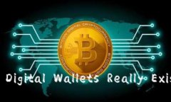 ＂Do Digital Wallets Really Exist?＂