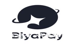 数字货币充钱包：如何安全、快捷地给