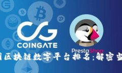 2023年中国区块链数字平台排名：解密