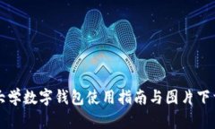 清华大学数字钱包使用指南与图片下载