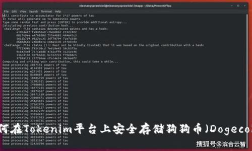 如何在Tokenim平台上安全存储狗狗币（Dogecoin）