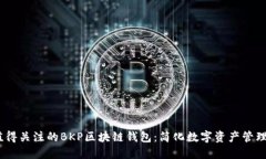 2023年最值得关注的BKP区块链钱包：简
