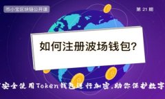 如何安全使用Token钱包进行加密，助你