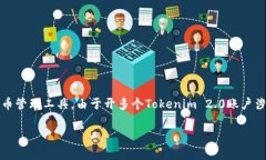 在数字货币和区块链领域，Tokenim 2.0