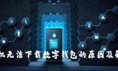 中国手机无法下载数字钱包的原因及解