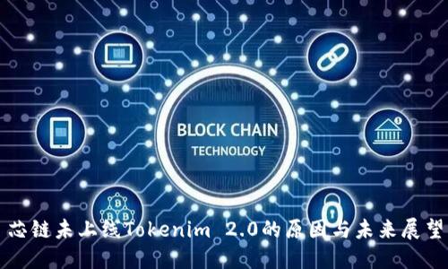 芯链未上线Tokenim 2.0的原因与未来展望