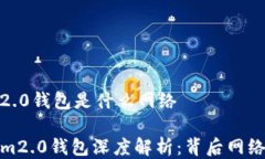 ### tokenim2.0钱包是什么网络#### tokenim