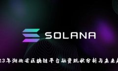 2023年湖北省区块链平台融资现状分析