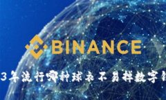 2023年流行哪种球衣不易掉数字钱包？