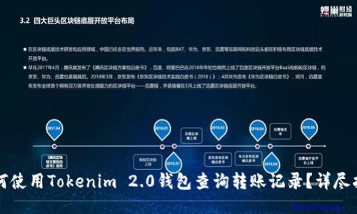 如何使用Tokenim 2.0钱包查询转账记录？详尽指南