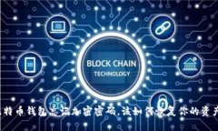 比特币钱包忘记加密密码，该如何恢复