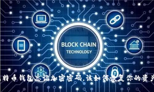 比特币钱包忘记加密密码，该如何恢复你的资产？