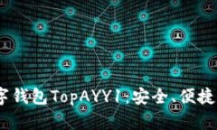 2023年最受欢迎的数字钱包TopAYY1：安全