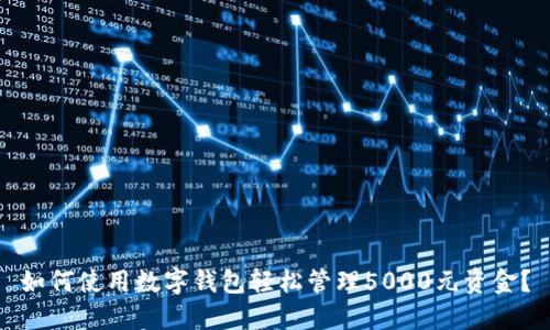 如何使用数字钱包轻松管理5000元资金？