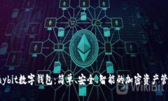 探索Anybit数字钱包：简单、安全、智能