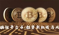 道商区块链平台币：投资新机遇与风险