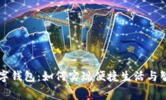 沈阳数字钱包：如何实现便捷生活与智