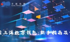 如何高效使用上海数字钱包：新手指南