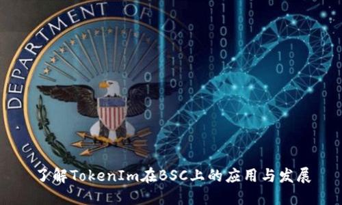 了解TokenIm在BSC上的应用与发展