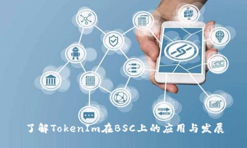 了解TokenIm在BSC上的应用与发展