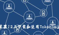 如何在苹果12上下载和使用Tokenim应用程