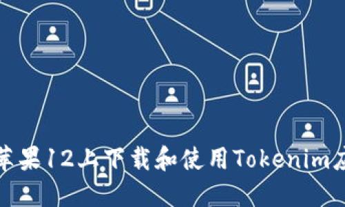 如何在苹果12上下载和使用Tokenim应用程序