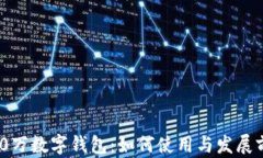 深圳800万数字钱包：如何使用与发展前