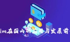 Tokenim在国内的应用与发展前景分析