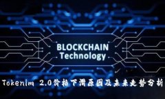 Tokenim 2.0价格下滑原因及未来走势分析