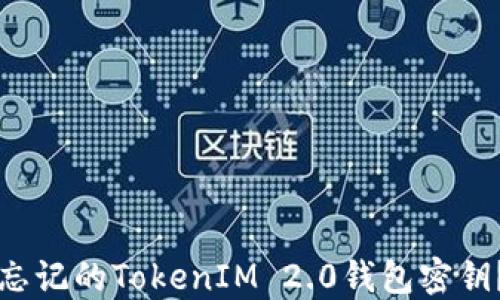 如何找回忘记的TokenIM 2.0钱包密钥?详细指南