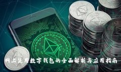 网上使用数字钱包的全面解析与应用指