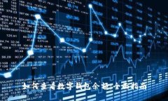 如何查看数字钱包余额：全面指南