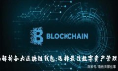 全面解析各大区块链钱包：选择最佳数