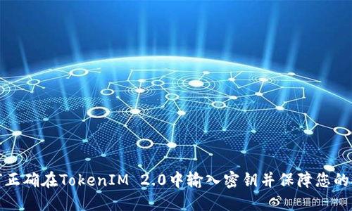 如何正确在TokenIM 2.0中输入密钥并保障您的安全