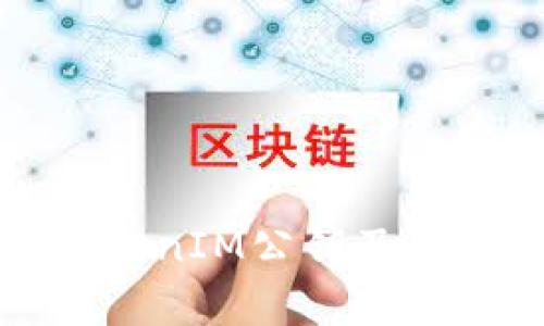 什么是TokenIM公钥及其应用解析