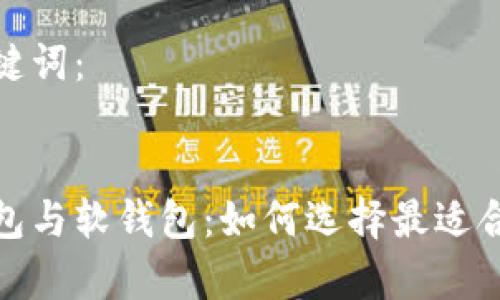 这里是您的和关键词：


全面解析数字钱包与软钱包：如何选择最适合的电子支付方案
